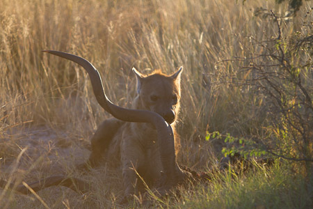 Botswana April 2013