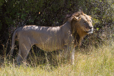 Botswana April 2013