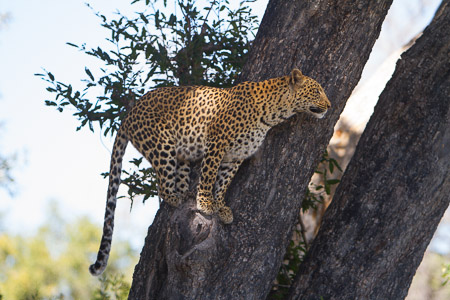 Botswana April 2013