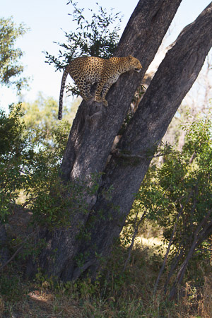 Botswana April 2013