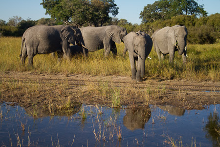 Botswana April 2013