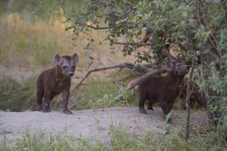 Botswana April 2013