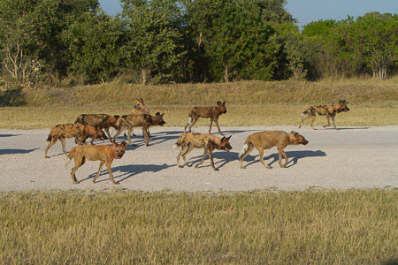 Botswana April 2013