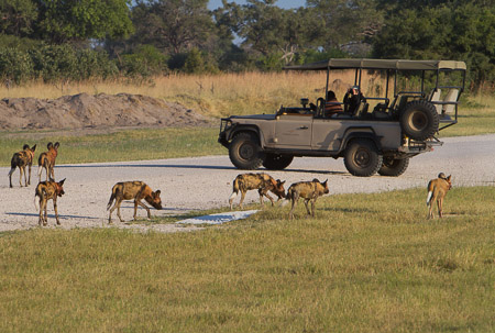 Botswana April 2013