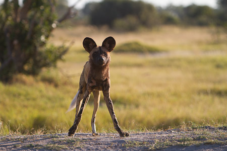 Botswana April 2013